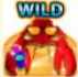 Wild